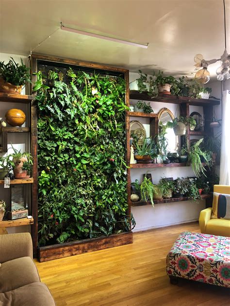 Indoor plant wall. Things To Know About Indoor plant wall. 